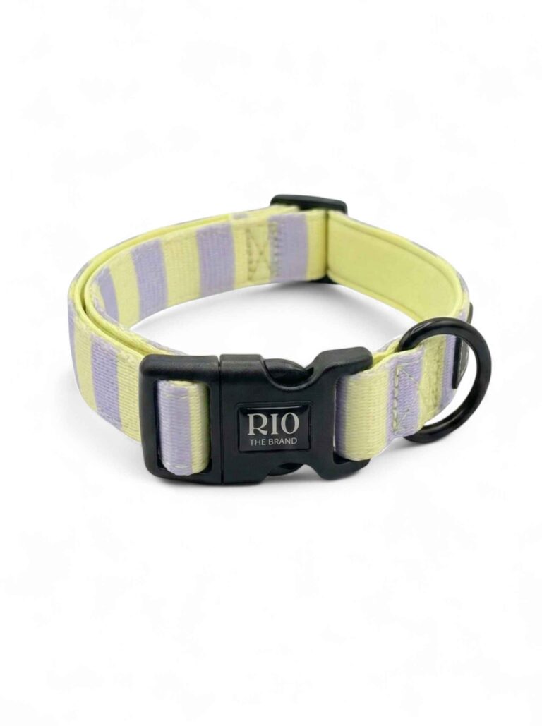 Collar tokio rayas 1