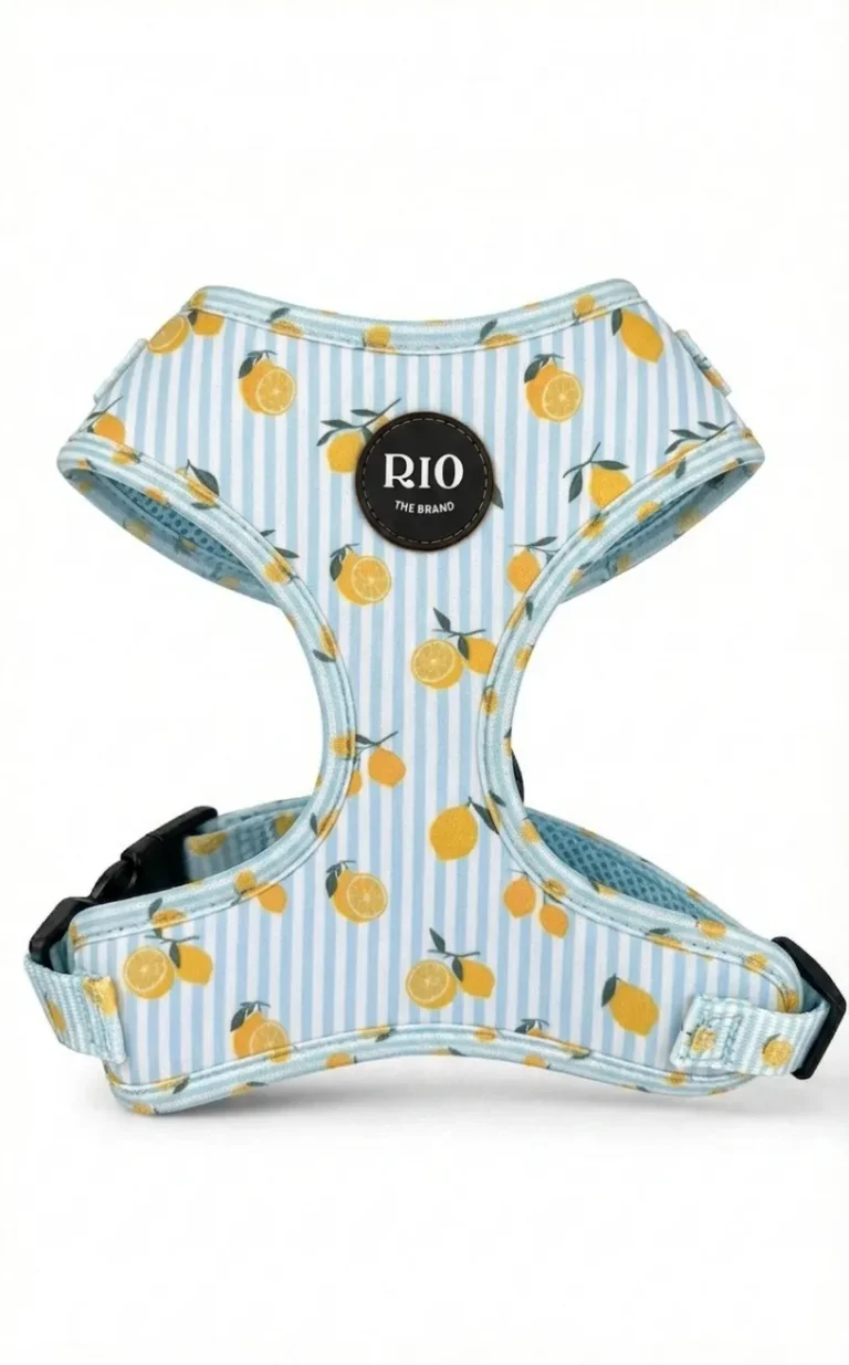 Arnes Amalfi Lemon Ajustable (1)