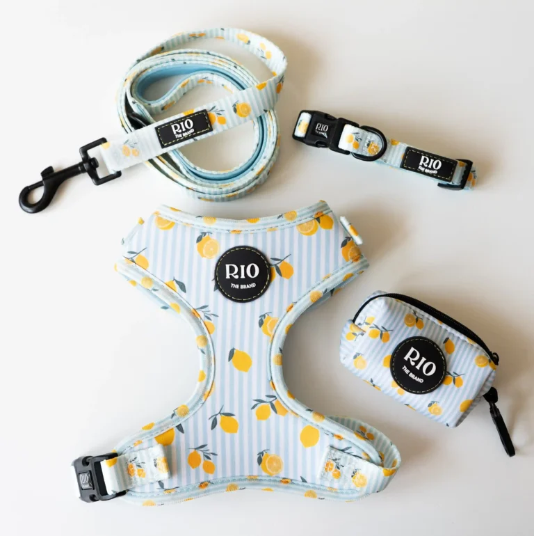 Conjunto Amalfi Limon ajustable (3)