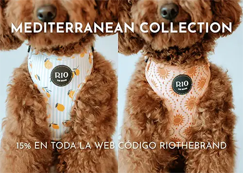 BANNER NUEVA COLECCION 500px