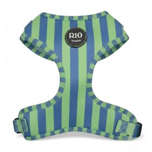 Arnes rio rayas 1