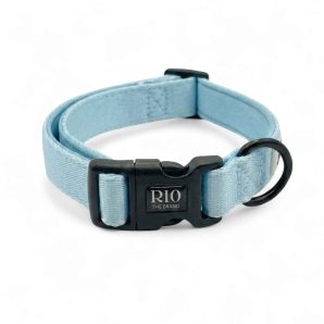 Collar oslo 1