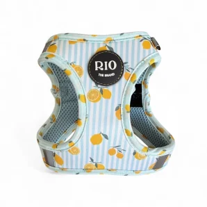 ARNES BODY AMALFI LEMON (2)