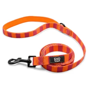 Correas miami rayas 1