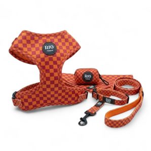 Pack miami cuadros 1