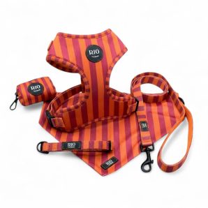 Pack miami rayas 1